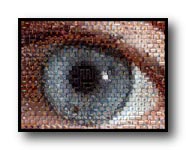 Image is an ArcSoft Photomontage construction using all of the images from this site