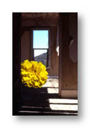 My photos in Photoshop