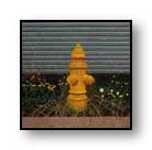 Painting: "Fireplug" - &copy;1975-C.E.Newland - acrylic - Public Collection