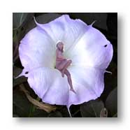 My photos with Photoshop intervention