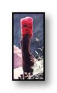 Painting: "Post Monster" - &copy;1980-C.E.Newland - acrylic - Private Collection