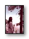 Painting: "Scout" - &copy;1978-C.E.Newland - Acrylic - Private collection