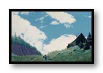 Painting: "Colorado Summer Song" - &copy;1981-C.E.Newland - Acrylic - Private Collection