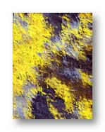 Abstracted from Bryce in Photoshop