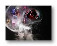 xray of my skull with images added