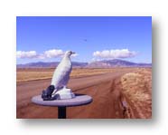 My shots of Cochise Stronghold with Photoshop Intervention