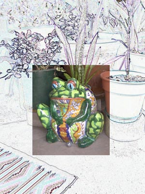 Friends Randy and Denise have this frog...my photo, a Photoshop manipulation Frogdraw ©2002-C.E.Newland - Digital Image.