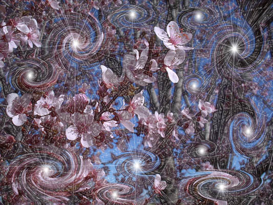 My digital photo manipulated in Photoshop using Corel's KPT6 plug-in filter.-Starry, Starry Blooming Tree-©2002-C.E.Newland - Digital Image.